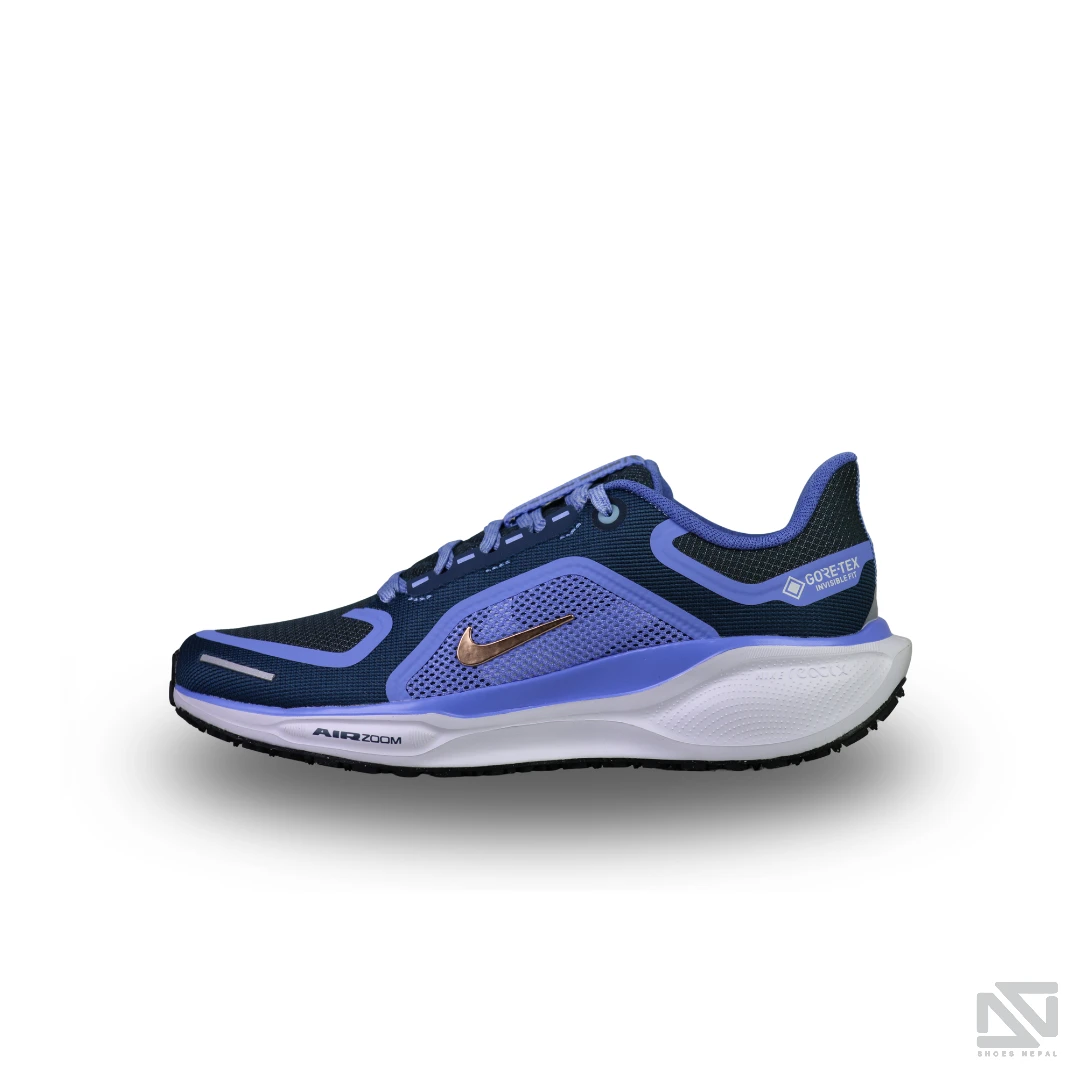 Nike Air Zoom Pegasus 41 GTX - Shoes Nepal