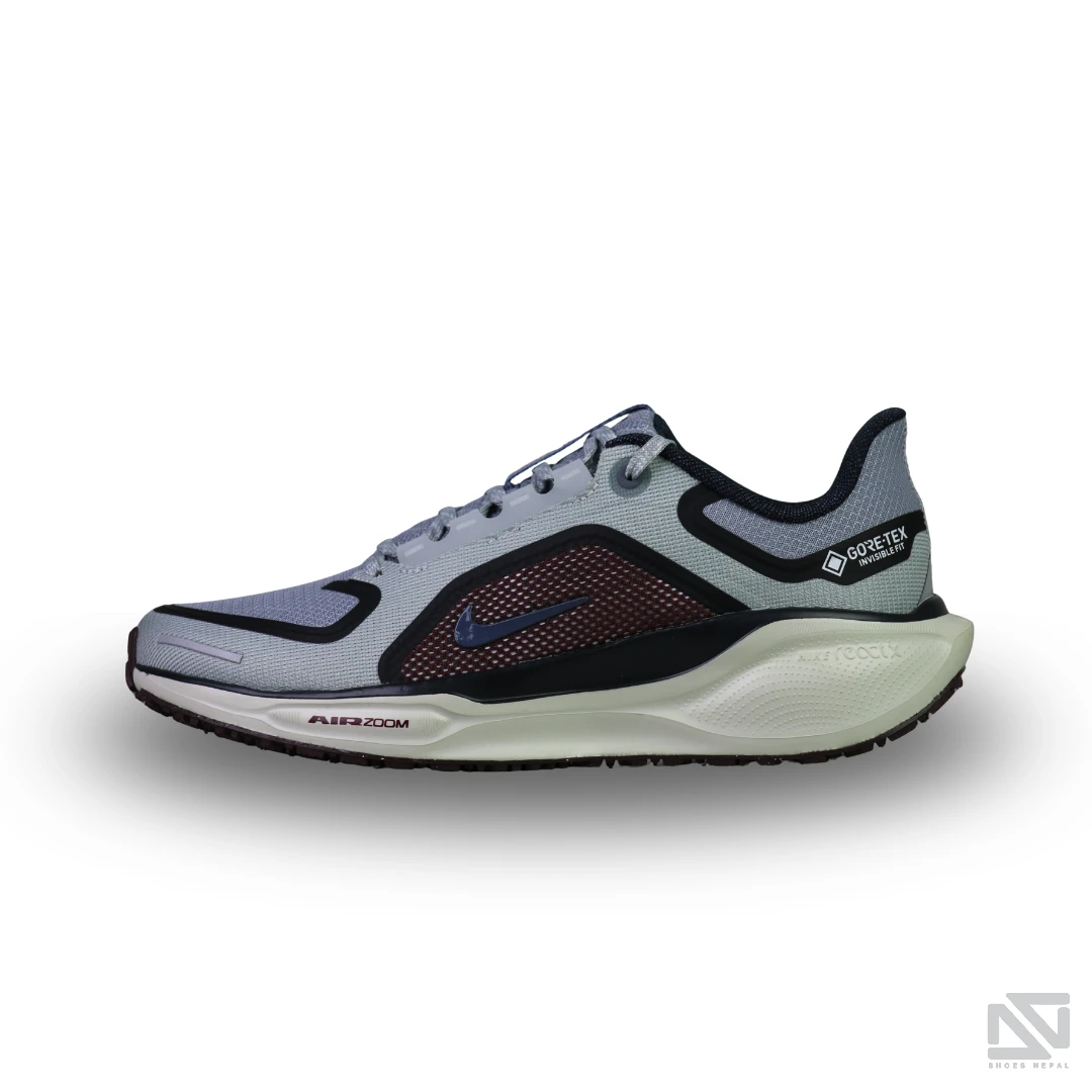 Nike Air Zoom Pegasus 41 GTX - Image 1 - Shoes Nepal